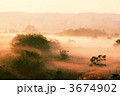 3674902