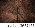 3675175