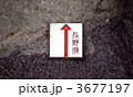3677197