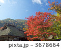紅葉の京都