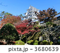 秋の郡上八幡城