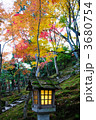 紅葉と石灯籠