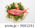 キンメダイ