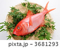 キンメダイ