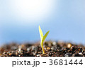 青空へ向かって