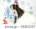 クリスマス