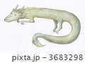 龍のイラスト