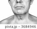 3684946