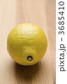 3685410