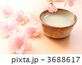 春の訪れ。。。