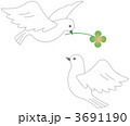 幸せの鳥