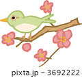 うぐいす