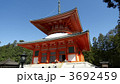 高野山・壇上伽藍の根本大塔
