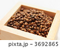 麦茶用六条大麦