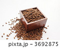 麦茶用六条大麦