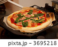 3695218