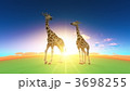 3698255