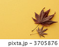 3705876