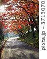 姫路城　姫山公園の紅葉