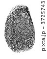 3725743
