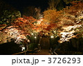 鎌倉・長谷寺の紅葉ライトアップ　本道
