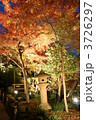 鎌倉・長谷寺の紅葉ライトアップ　色彩