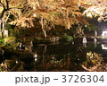 鎌倉・長谷寺の紅葉ライトアップ　水面