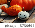 カボチャ　②