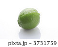 ライム