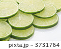 ライム