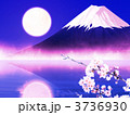 夜桜と富士
