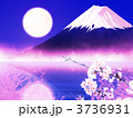 夜桜と富士