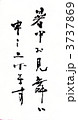 暑中お見舞い