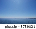ブルー１