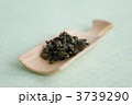 梨山高冷茶