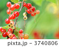 3740806