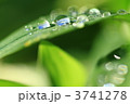 冬の光