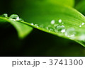 冬の光