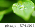 冬の光
