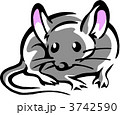 3742590