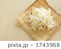 もやし