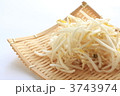もやし
