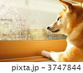 3747844