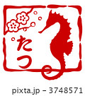 3748571