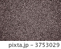 3753029