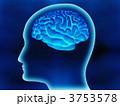 3753578
