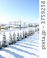 雪の線路