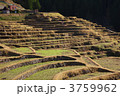丸山千枚田