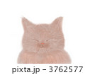 3762577