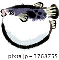 ふぐ